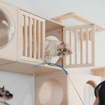 【預購】躲貓貓窩-格柵門款