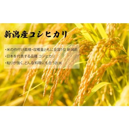 ふるさと納税 新潟産コシヒカリ ふっくらパックご飯 180g x 18個 新潟県十日町市