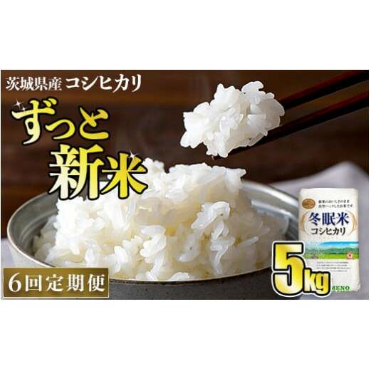 令和5年産 コシヒカリ 冬眠米 5kg×6回 計30kg 定期便 茨城県産 白米 精米 ごはん お米 冬眠 とうみんまい ブランド米 検査米 単一原料米 国産 守谷市 送料無料