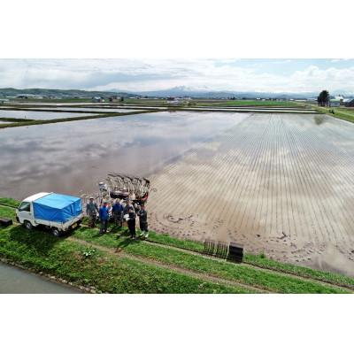 ふるさと納税 旭川市 栽培期間農薬を減らして作った　ゆめぴりか　白米　真空パック5kg×4個　合計20kg