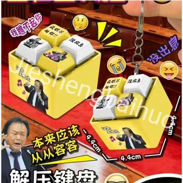 臺灣現貨王世堅 按鍵 從從容容回答我按鍵 波音按鍵最多款鉢鉢雞電子木魚功德積攢器按鍵解壓語音發聲鑰匙扣