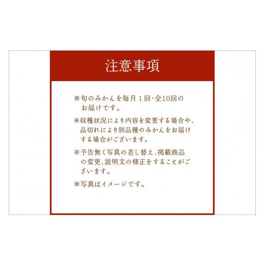 ふるさと納税 三重県 御浜町 旬のみかん又はジュースを毎月発送（10回） 果物 フルーツ みかん 定期便 果物定期便 フルーツ定期便