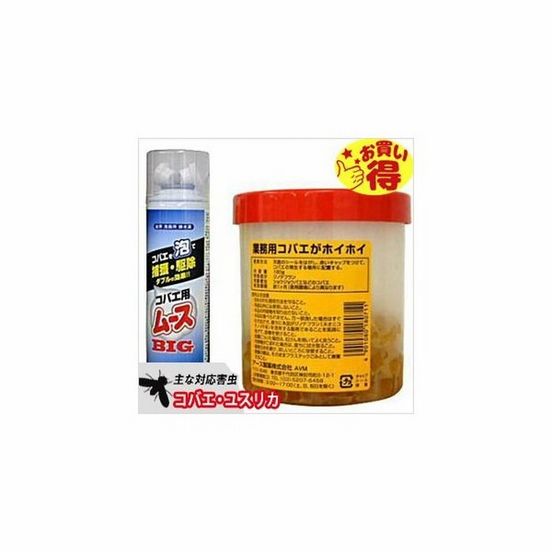 コバエ チョウバエ駆除 厨房のコバエ駆除セット コバエ用ムース400ml 業務用コバエがホイホイ160g 通販 Lineポイント最大0 5 Get Lineショッピング