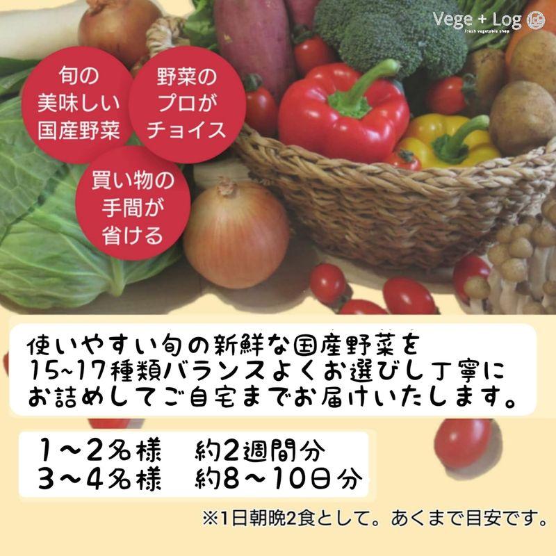 京都卸売市場より 国産新鮮野菜セット (L) 15~17種類 秀〜A品 ギフト用 贈答品質 季節の野菜定番野菜きのこ詰め合わせ おまかせ