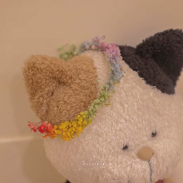 DAY OFF 彩虹髮箍 滿天星髮箍 乾燥滿天星 乾燥花 彩虹小物