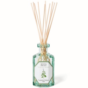 Carrière Frères Diffuser Spearmint - Mentha Spicata - 6.7 fl. oz