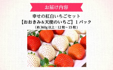 宮崎県産 イチゴ 幸せの紅白いちごセット おおきみ天使のいちご 1パック(約360g以上:12粒～15粒程度)いちご 苺 果物 期間・数量限定