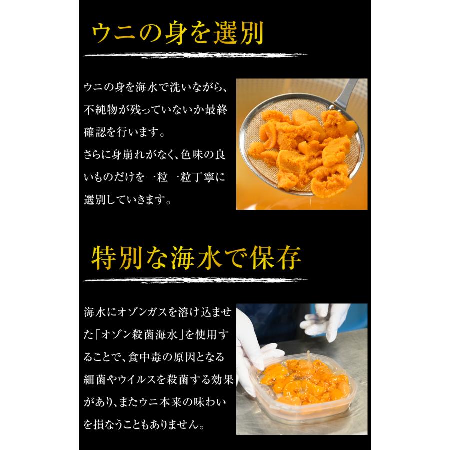 ウニ 塩水 無添加 うに 北海道 送料無料 セット 高級 詰め合わせ