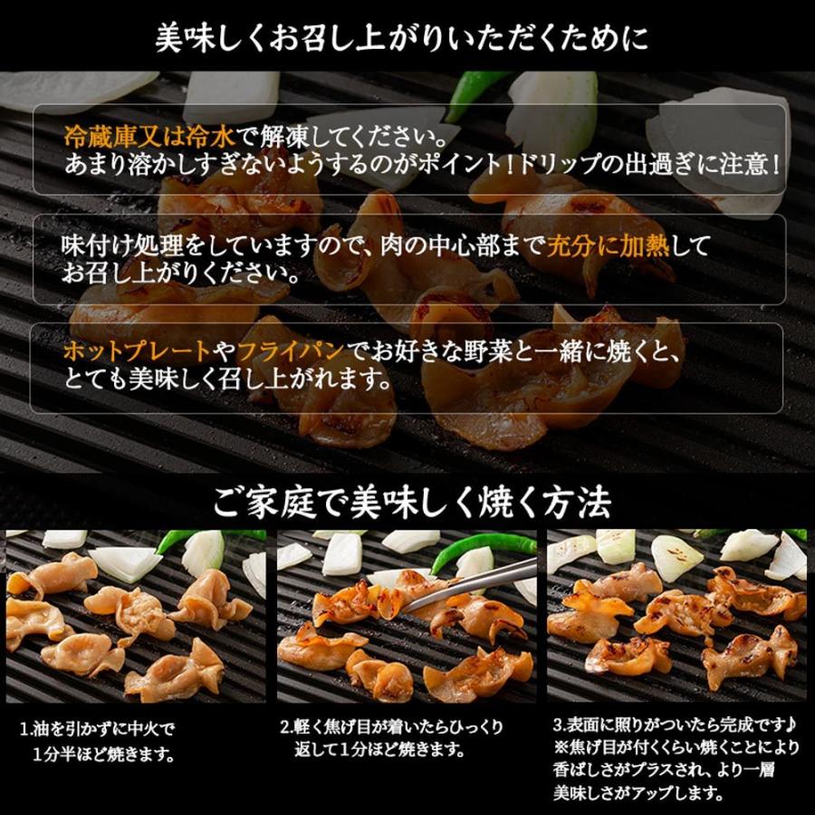 焼肉王国 やわらか豚テチャン焼