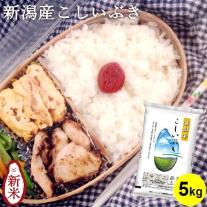 新潟産こしいぶき 5kg ｜ お米 5kg 送料無料 新潟 お弁当 おにぎり ギフト 内祝い お返し お祝い 贈答品 贈り物 プレ