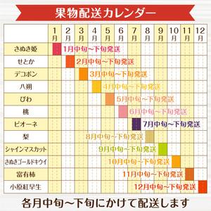 ふるさと納税 フルーツ 定期便 果物 旬 月の旬果定期便♪(12ヶ月連続）_M102-0038 香川県三豊市