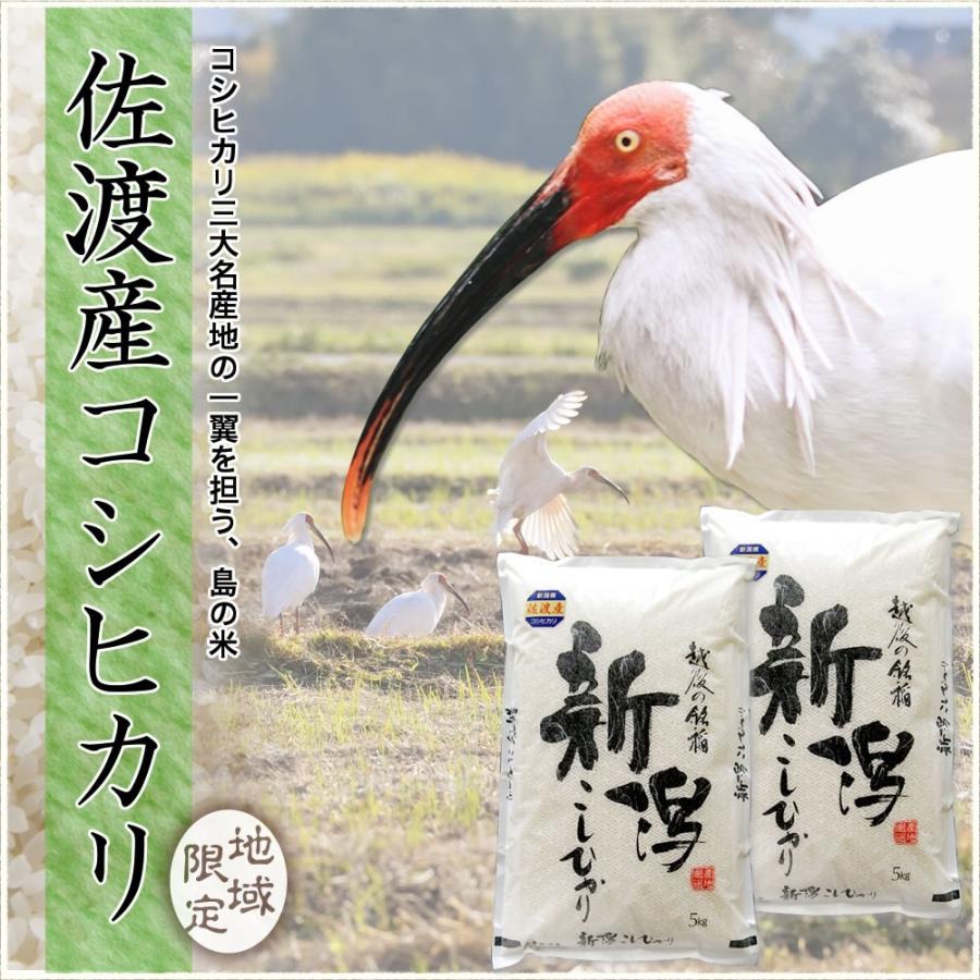 新米 令和5年産 お米 5kg 佐渡産コシヒカリ 送料無料（北海道、九州、沖縄除く）