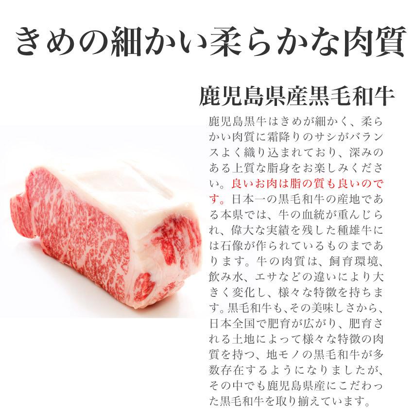 黒毛和牛 ステーキ 牛肉 鹿児島黒毛和牛 特上サーロイン ブロック 1kg 鹿児島 薩摩 ステーキ サーロイン  焼肉 贈答 高級 特上 お歳暮 誕生日 結婚記念