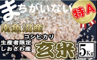 玄米 生産者限定 南魚沼しおざわ産コシヒカリ5Kg