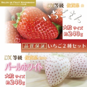 [予約 2024年1月5日-1月30日の納品] いちごさん × パールホワイト 約240g×4パック DX 大粒サイズ 化粧箱 食べ比べ いちご 甘い 苺