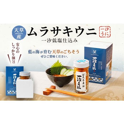 ふるさと納税 熊本県 上天草市 天草産ムラサキウニだらけ　豪華3本セット　(一汐低塩仕込み／60g)