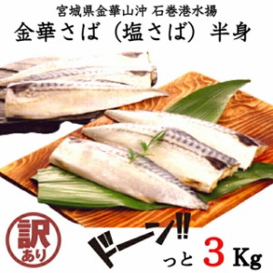 訳あり 金華塩さば半身（腹骨取り）3kg 送料無料 サバ 鯖 海鮮 冷凍 まとめ買い 大容量 food