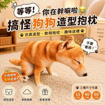 台灣出貨 搞怪狗狗造型抱枕 仿真柴犬玩偶 趣味蹲姿毛絨娃娃 軟萌靠枕 沙發床上擺飾 創意交換禮物 生日禮物 禮物