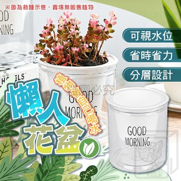 懶人花盆 吸水花盆 懶人盆栽 透明花盆 免澆水花盆 室內植物 水耕盆栽 水耕瓶 小花盆 園藝 盆栽容器 QQQ