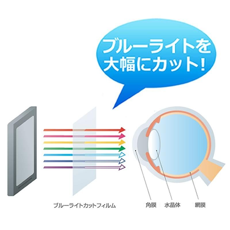 ハイセンス 43E6800 43インチ 機種で使える 強化 ガラスフィルム と