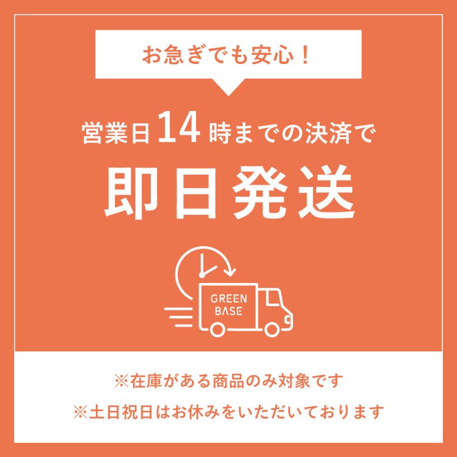 乾燥野菜 国産 DRYVEGETABLE 140ｇドライベジ ミックス 野菜 一人暮らし 常備菜 時短 味噌汁の具 キャベツ 白菜 小松菜 人参 大根 玉ねぎ