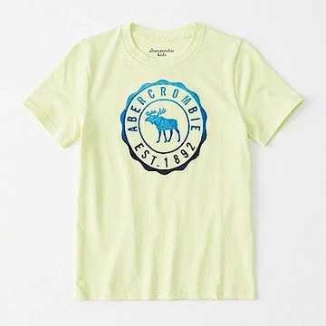 AF a&f Abercrombie & Fitch 小孩 T恤 綠色 0832
