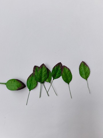 紙花，禮物裝飾DIY用品：50片，深綠色玫瑰葉