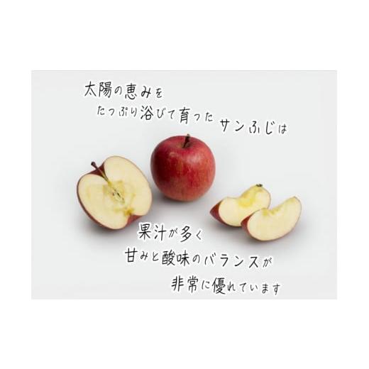 ふるさと納税 青森県 鰺ヶ沢町 ヒバリノ園のサンふじ 約5kg(14〜18玉)　青森県鰺ヶ沢町産りんご ※オンライン決済のみ