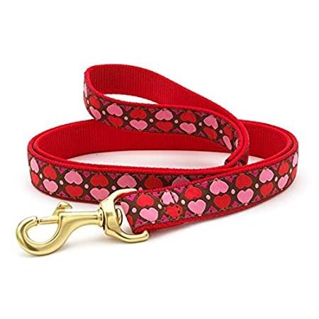 Up country dog store collars and leashes