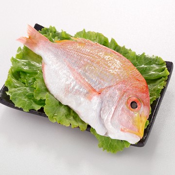 【華得水產】台灣野生赤鯮魚 300~700g 赤鯮魚 海魚 (已去鰓、去鱗、去內臟) 黃背牙鯛 赤宗