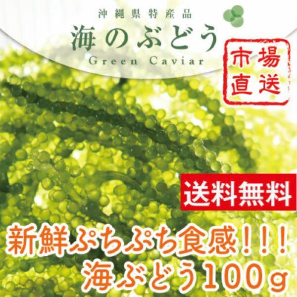 沖縄県産 海ぶどう 100g タレ付 海産物 海藻類