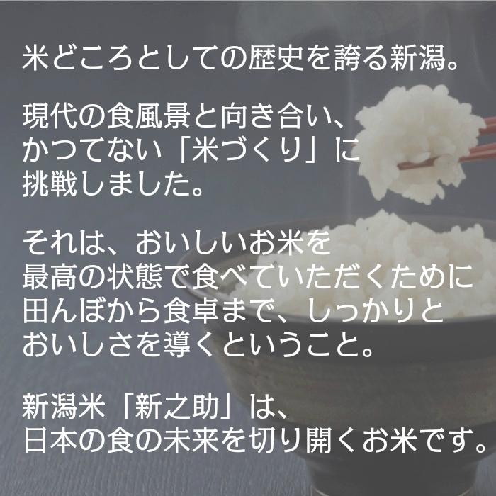 令和５年産　新潟県上越産　特別栽培米　新之助　精米１kg入 