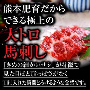 ふるさと納税 霜降り馬刺しの食べ比べ約600g（大トロ馬刺し・中トロ馬刺し各約300g）を毎月お届け！醤油・生姜の小袋付き 熊本県阿蘇市