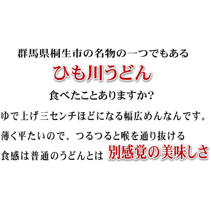 うどん 桐生 ひもかわうどん 帯麺 170g×3袋 乾麺 濃縮つゆ6人前 3セット以上で宅配便 ポイント消化 送料無料