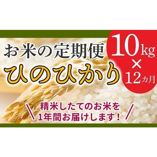 ふるさと納税 鹿児島県 南九州市 鹿児島県産米ひのひかり10kg定期便 013-07