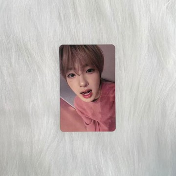 ⭐韓國代購正版⭐正規 藤永咲哉 NCT WISH 粉衣饅 yes24線上籤售卡sakuya單卡新專
