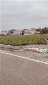 崙背都計內4.6分美農地/雙面路/大面寬46米｜雲林縣崙背鄉面前厝