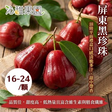 沁甜果園 屏東 產地直送 黑珍珠蓮霧 大果(16-24顆)1800g±10%/盒 水果 蓮霧 送禮 禮盒