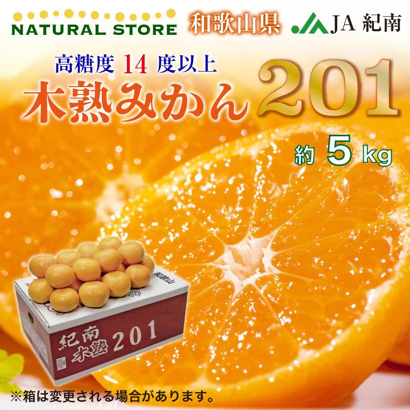 [当日発送可] 木熟みかん 木熟201 紀南木熟みかん 糖度14度 5kg プレミアムみかん 高糖度 和歌山県産 JA紀南 お歳暮 ギフト 贈り物 産地箱