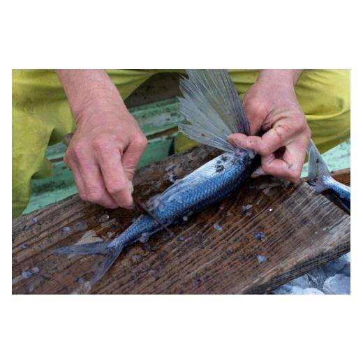 ふるさと納税 鹿児島県 屋久島町 飛魚開き塩干 7尾