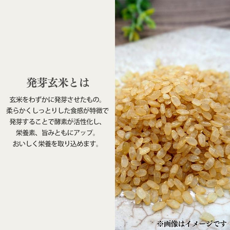 （20個）おかゆ もち麦 発芽玄米おかゆ もち麦おかゆ おかゆ お粥 発芽玄米 もち麦 レトルト 備蓄 米 国産 魚沼産 簡単 美味しい 250g アイリスフーズ