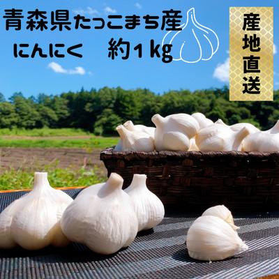 ふるさと納税 田子町 ML size『1kg』