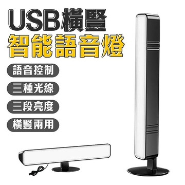 FJ智能語音橫豎聲控燈MZ6(USB供電)(買一送一)