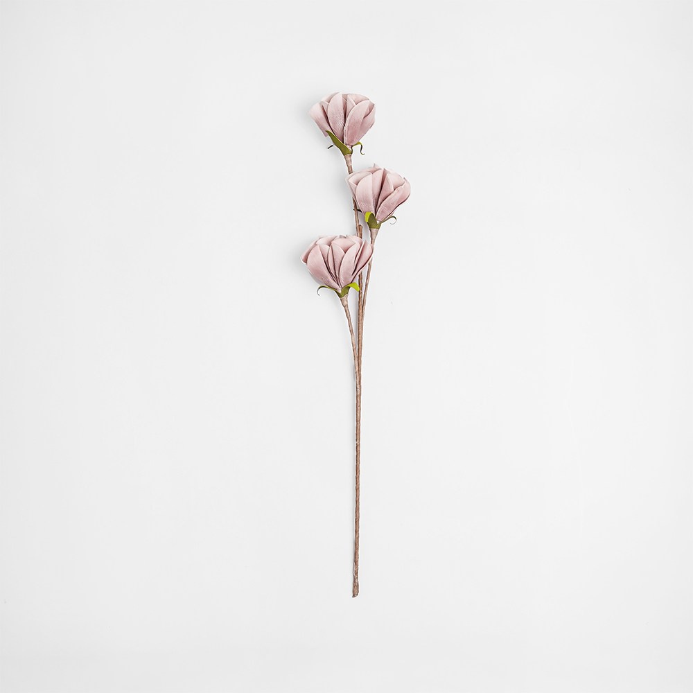 Flora芙蘿拉花插甜筒花粉 蝦皮商城 Line購物