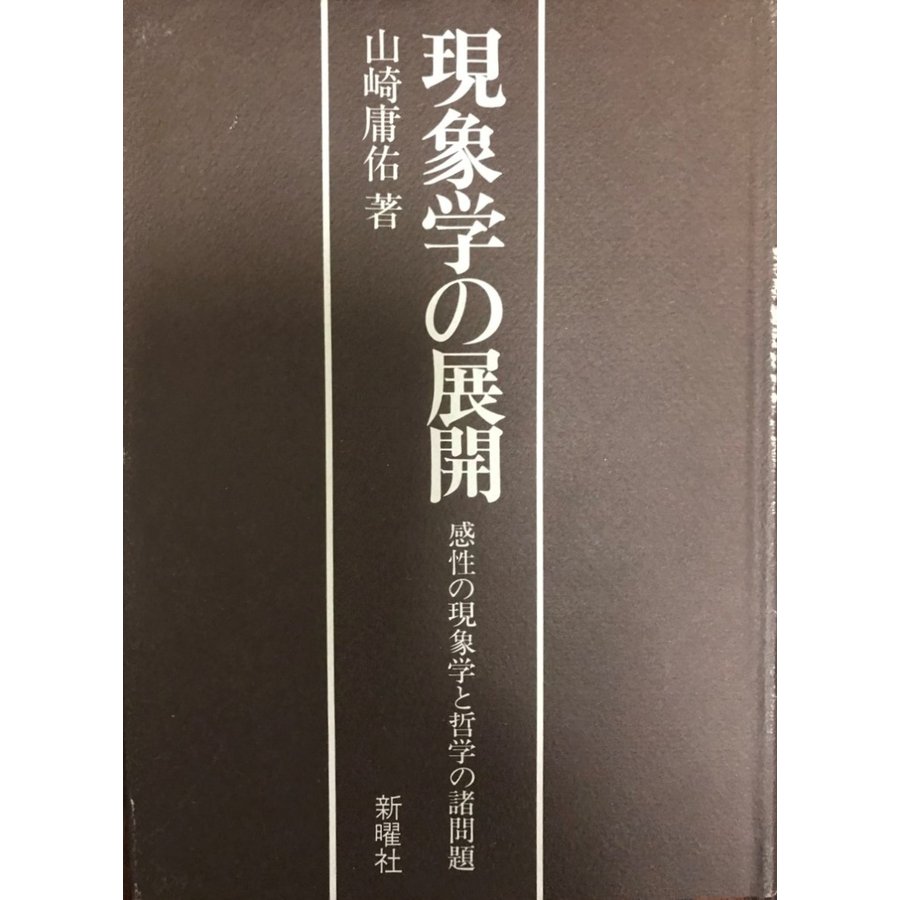 現象学の展開 感性の現象学と哲学の諸問題