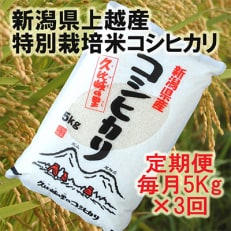 新潟県上越産特別栽培米こしひかり5Kg精米全3回