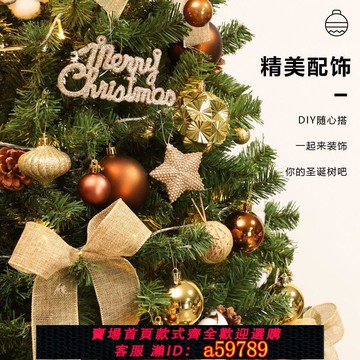 【全網低價 可打統編】聖誕裝飾家用大型聖誕節新款加密佈置裝飾diy裝飾品發光擺件套餐