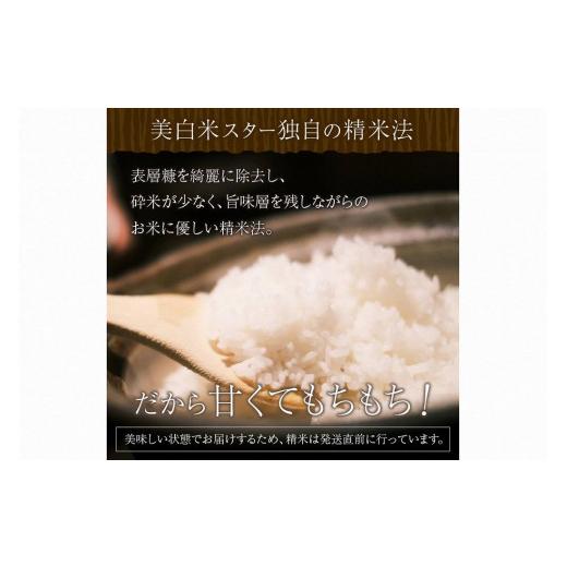 ふるさと納税 京都府 京丹後市 令和5年産 新米 美白精米 丹後こしひかり 3kg（2合×10袋） 1等米