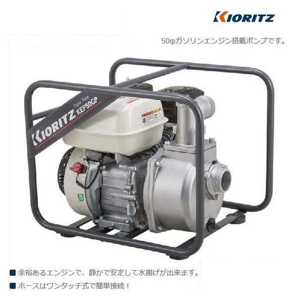 Amarine-made 給水 排水ポンプ 自吸式ウォーターポンプ ダイヤフラムポンプ 160PSI 7L min 内臓自動圧力スイッチ キ - 1