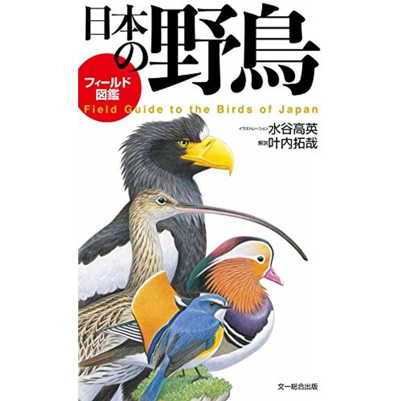 フィールド図鑑 日本の野鳥